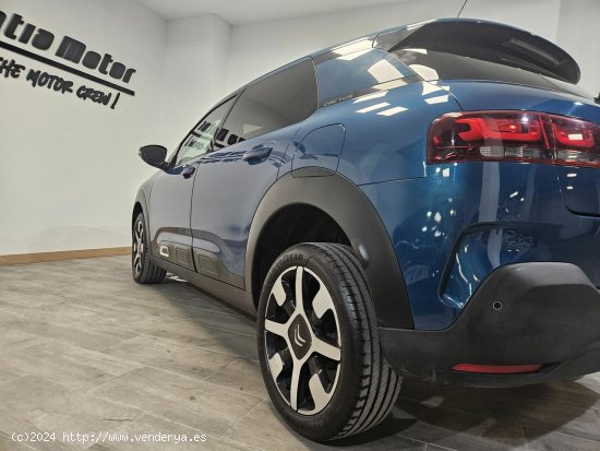 Citröen C4 Cactus 1.5 Blue-HDi Shine TEST - 