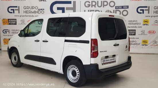 Citroën Berlingo TALLA M BLUE HDI 100 CV LIVE - Ponteareas