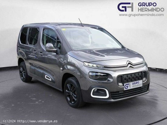 Citroën Berlingo TALLA M BLUE HDI 100 CV SHINE - Ponteareas