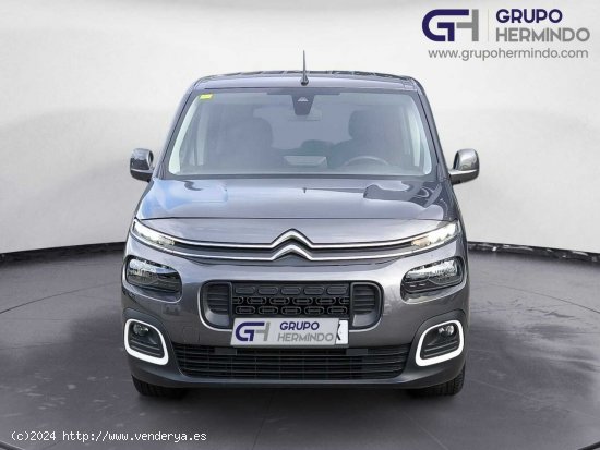 Citroën Berlingo TALLA M BLUE HDI 100 CV SHINE - Ponteareas