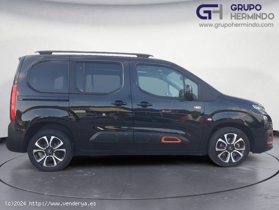 Citroën Berlingo TALLA M BLUE HDI 130 CV SHINE + TECHO PANORAMICO - Ponteareas