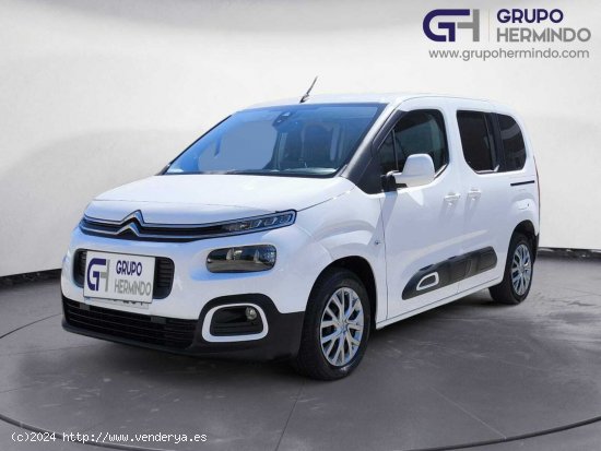  Citroën Berlingo TALLA M FEEL BLUE HDI 100 CV - Ponteareas 