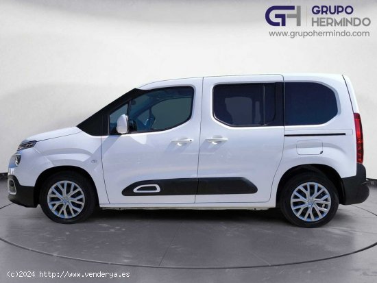 Citroën Berlingo TALLA M FEEL BLUE HDI 100 CV - Ponteareas