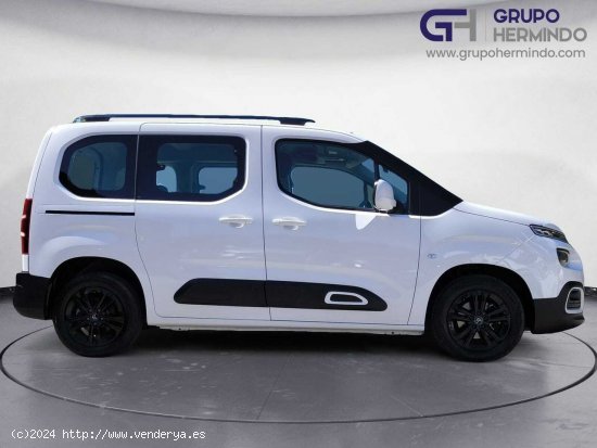 Citroën Berlingo TALLA M FEEL BLUE HDI 100 CV - Ponteareas