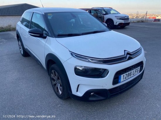 Citroën C4 Cactus BUSINESS BLUE HDI 100 CV - Ponteareas