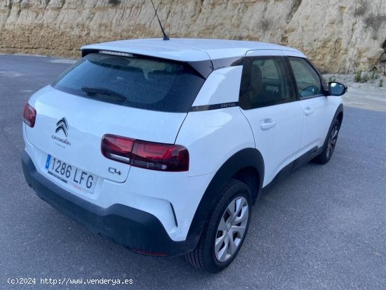 Citroën C4 Cactus BUSINESS BLUE HDI 100 CV - Ponteareas