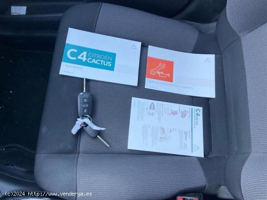 Citroën C4 Cactus BUSINESS BLUE HDI 100 CV - Ponteareas