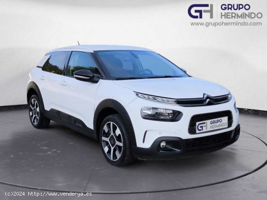  Citroën C4 Cactus SHINE BLUE HDI 120 CV EAT6 - Ponteareas 