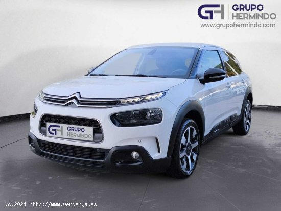 Citroën C4 Cactus SHINE BLUE HDI 120 CV EAT6 - Ponteareas