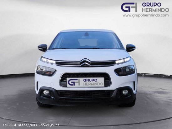 Citroën C4 Cactus SHINE BLUE HDI 120 CV EAT6 - Ponteareas