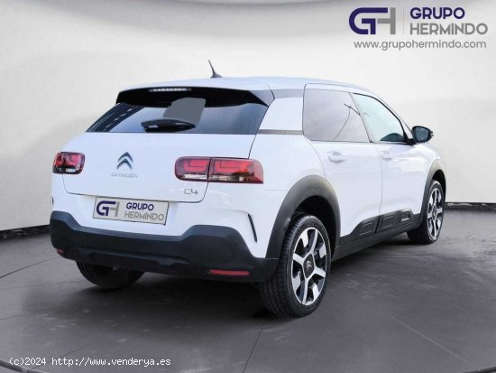 Citroën C4 Cactus SHINE BLUE HDI 120 CV EAT6 - Ponteareas