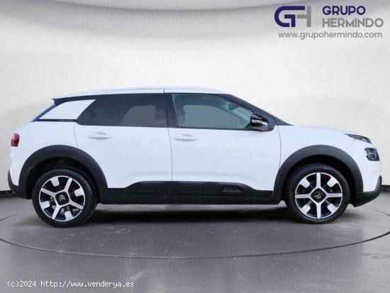 Citroën C4 Cactus SHINE BLUE HDI 120 CV EAT6 - Ponteareas