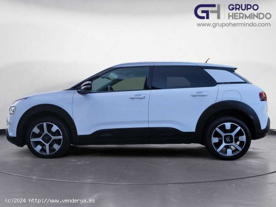 Citroën C4 Cactus SHINE BLUE HDI 120 CV EAT6 - Ponteareas