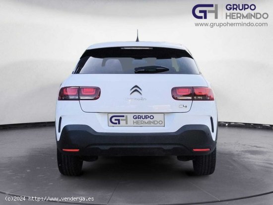 Citroën C4 Cactus SHINE BLUE HDI 120 CV EAT6 - Ponteareas