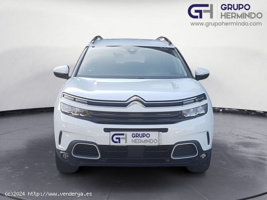 Citroën C5 Aircross FEEL BLUE HDI 130 CV - Ponteareas