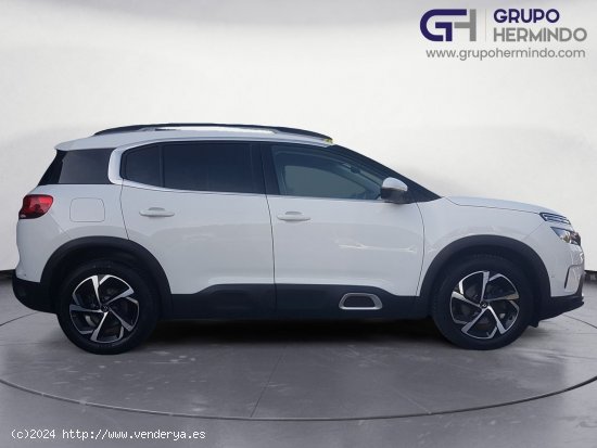 Citroën C5 Aircross FEEL BLUE HDI 130 CV - Ponteareas