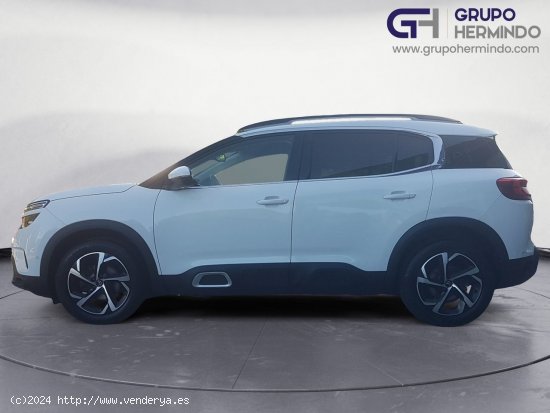 Citroën C5 Aircross FEEL BLUE HDI 130 CV - Ponteareas