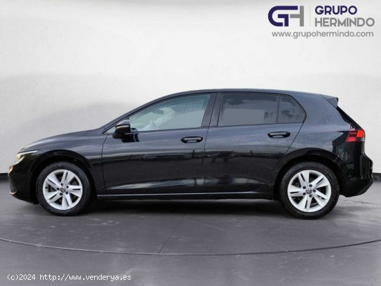 Volkswagen Golf VIII LIFE 2.0 TDI 150 CV DSG - Ponteareas