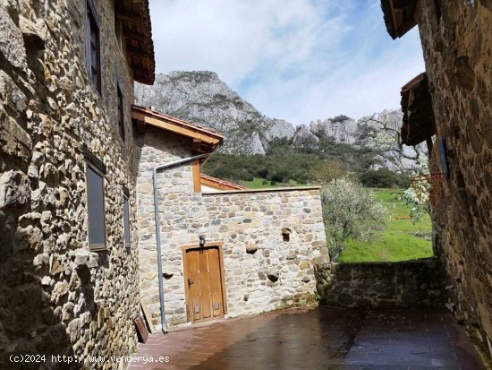 Casa de pueblo en Venta en Cillorigo De Liebana Cantabria