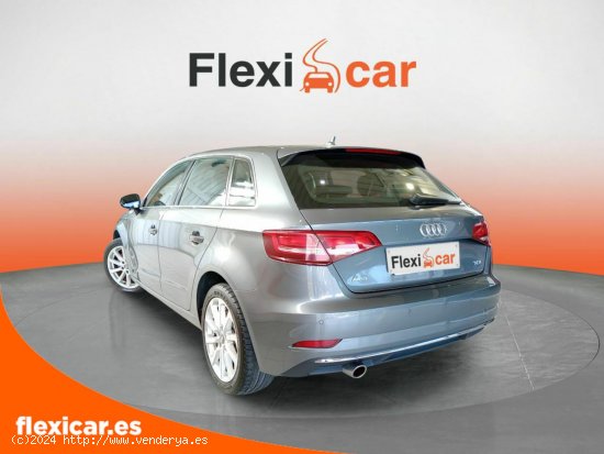 Audi A3 1.6 TDI 85kW (116CV) Sportback - Tarragona