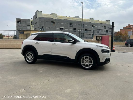 Citroën C4 Cactus BlueHDi 73KW (100CV) Shine - Parla