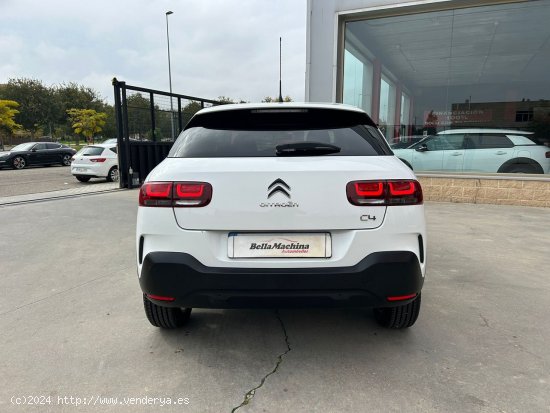 Citroën C4 Cactus BlueHDi 73KW (100CV) Shine - Parla