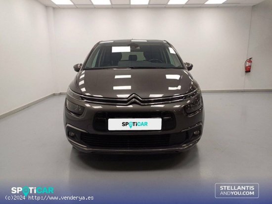 Citroën C4 Spacetourer  BlueHDi 120KW (160CV) EAT8 Shine - Vigo