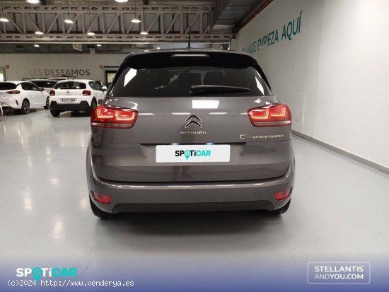 Citroën C4 Spacetourer  BlueHDi 120KW (160CV) EAT8 Shine - Vigo