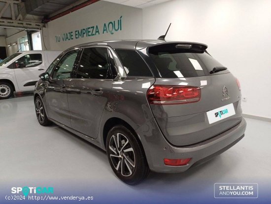 Citroën C4 Spacetourer  BlueHDi 120KW (160CV) EAT8 Shine - Vigo