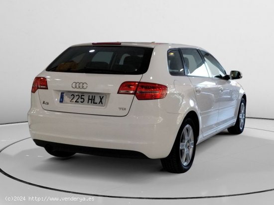 Audi A3 1.6 TDI Attraction - 