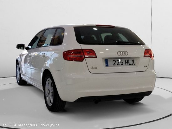 Audi A3 1.6 TDI Attraction - 