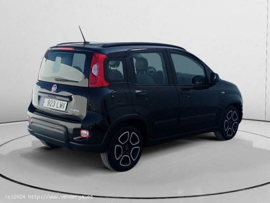 Fiat Panda City Life - Murcia