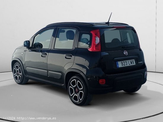 Fiat Panda City Life - Murcia