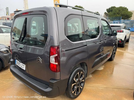 Citroën Berlingo   Talla M BlueHDi 100 SS 100 ANOS - 