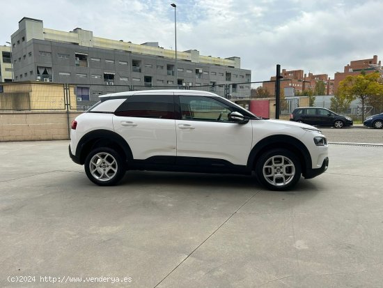 Citroën C4 Cactus BlueHDi 73KW (100CV) Shine - Parla