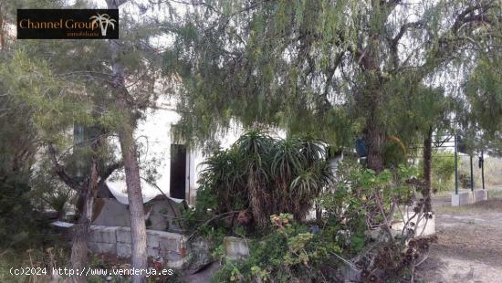 SE VENDE CASA CUEVA EN ZONA PEÑA DE LAS AGUILAS !!!!!!!! - ALICANTE