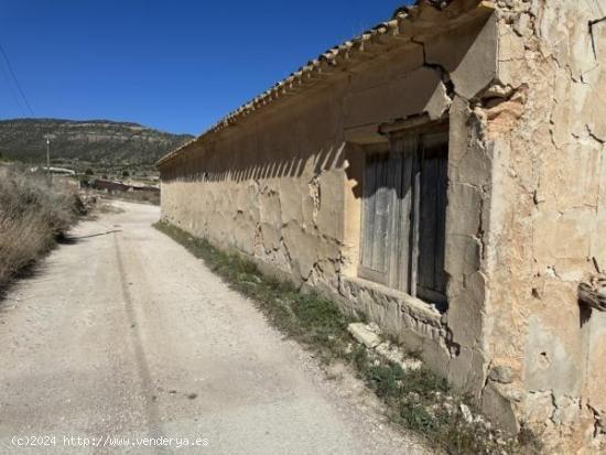 Bodega antigua - ALICANTE