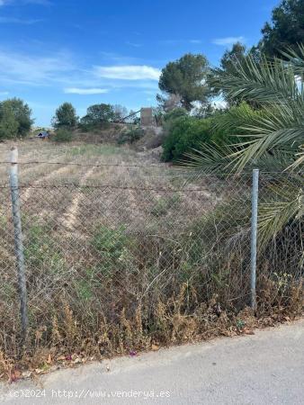 VENTA TERRENO URBANIZABLE EN BENIJOFAR - ALICANTE