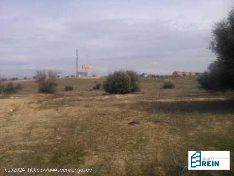 TERRENO DE 32415 M2 EN LUGAR SOTABARCA, PARCELA 7-13, OLÍAS DEL REY, TOLEDO - TOLEDO