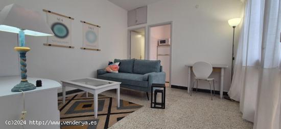 Alquiler de apartamento con dormitorio independiente en Ciudad Jardin - LAS PALMAS