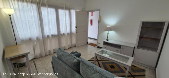 Alquiler de apartamento con dormitorio independiente en Ciudad Jardin - LAS PALMAS