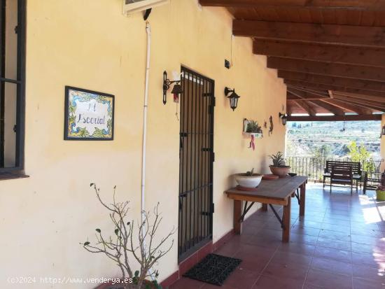 SE VENDE MAGNIFICA CASA RURAL EN CAMPO DE RICOTE - MURCIA