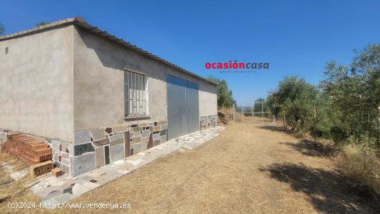 OLIVAR EN VENTA EN POZOBLANCO - CORDOBA