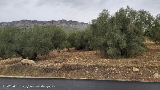 Terreno urbano con proyecto - MALAGA