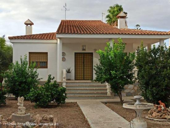  Chalet en Ciudad Jardin - ALICANTE 