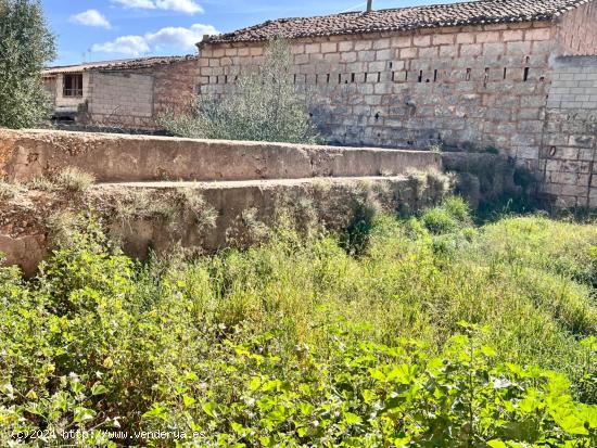 Solar en Sa Pobla - BALEARES