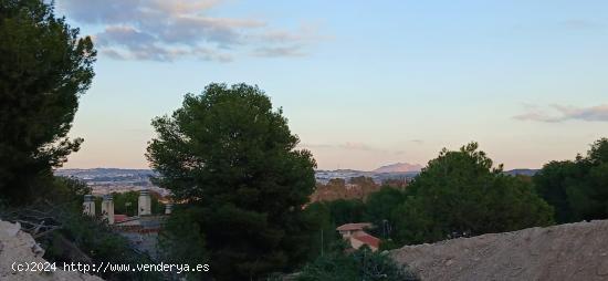  Parcela muy cerca de la Ermita del Coto II - MURCIA 