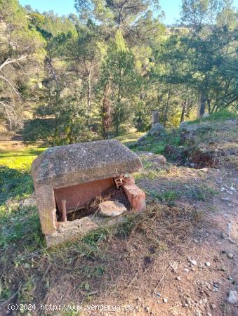 Parcela en venta en Pinedes de Castellnou - BARCELONA