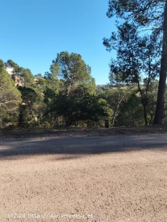 Parcela en venta en Pinedes de Castellnou - BARCELONA