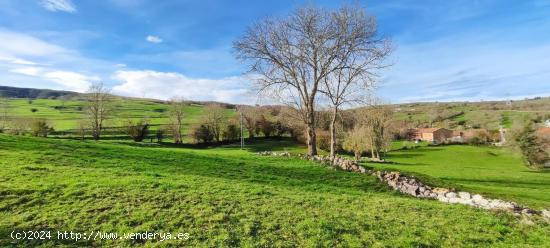 FINCA URBANIZABLE DE MÁS 17.200 METROS CUADRADOS TOTALMENTE LLANA.- - CANTABRIA